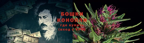 спиды Вяземский