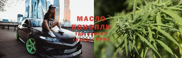 спиды Вяземский