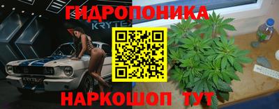 винт Бийск