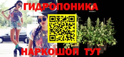 PSILOCYBIN Берёзовский