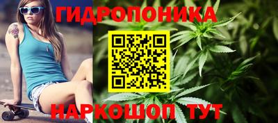 PSILOCYBIN Берёзовский
