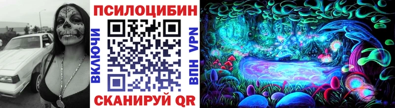 Галлюциногенные грибы Psilocybine cubensis  shop официальный сайт  Гуково  купить наркотики сайты 