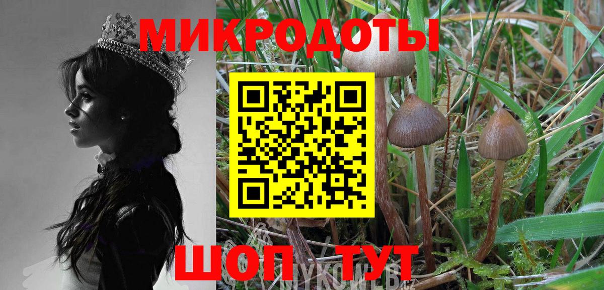 Галлюциногенные грибы мицелий  Вход с VPN  Гуково 
