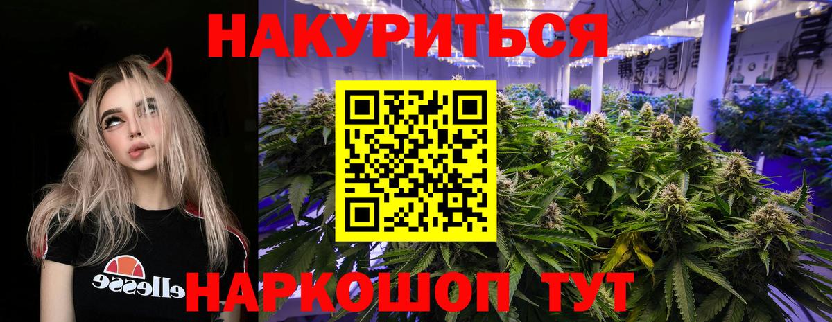 Канабис план Гуково